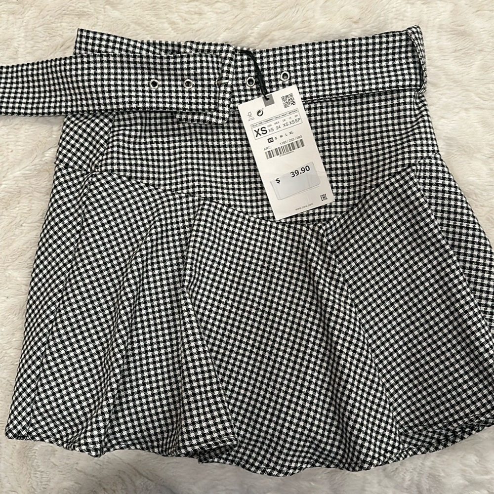 NWT Zara skirt